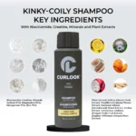 Kinky-Coily Shampoo (Men) - Image 5